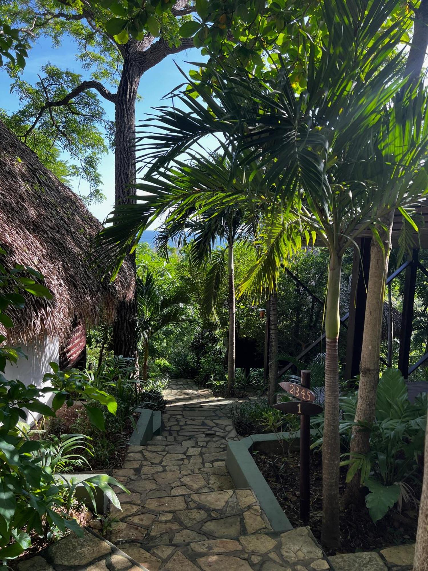 Hotel Buena Vista Surf Club El Plantel Exterior foto